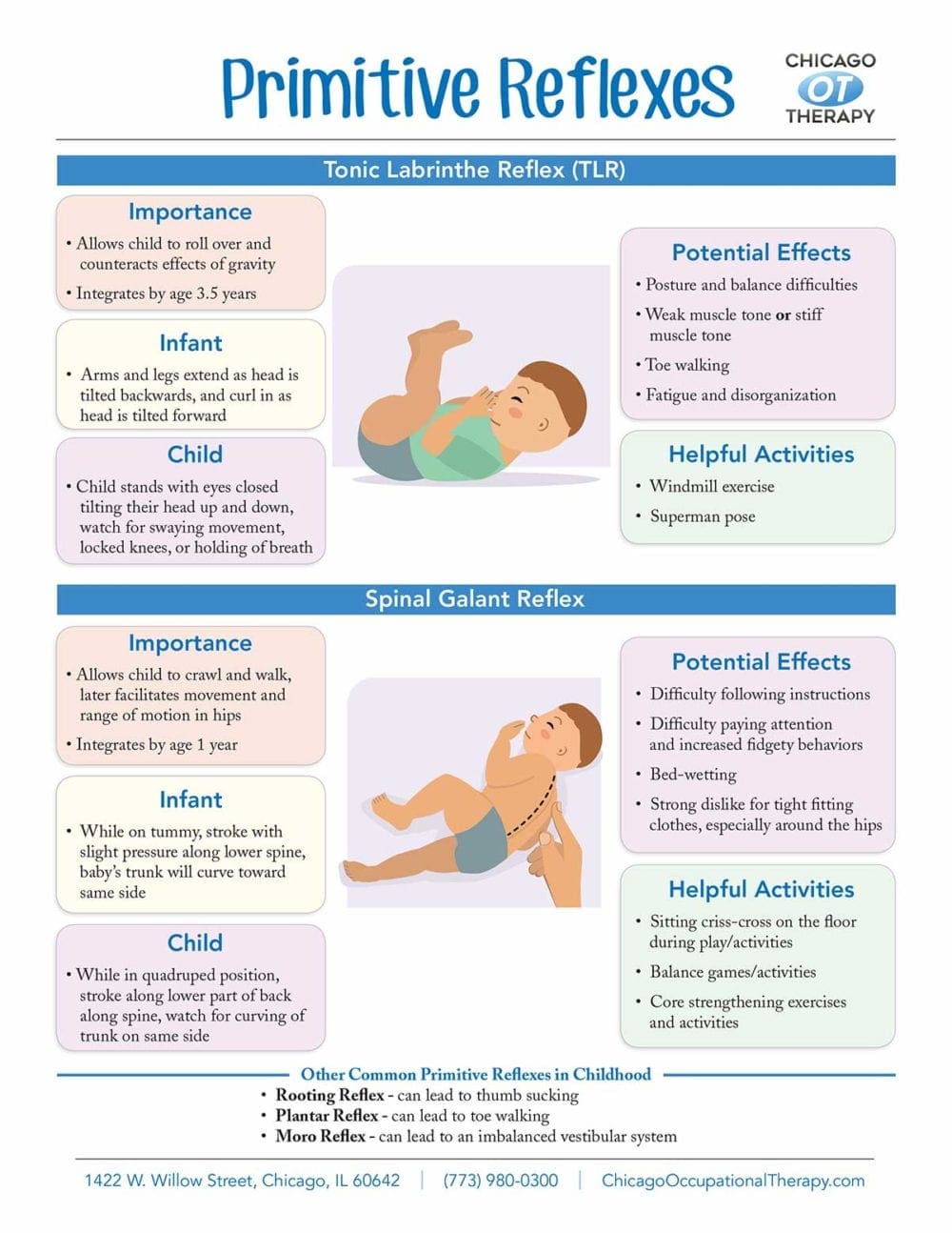 What Are Primitive Reflexes Chicago Occupational Therapy 7695